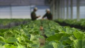 Irán – 1. Pintura de platos de cerámica 2. La ciudad de Saveh 3. La ciudad de Qazvin II