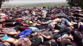 EIIL difunde nuevo video de masacre de unos 1700 soldados iraquíes