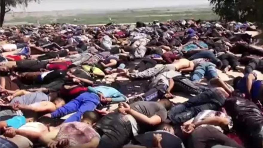 El grupo terrorista takfirí EIIL (Daesh, en árabe) difunde nuevas imágenes de la masacre de Speicher en 2014, cuando mató a 1700 cadetes de la Fuerza Aérea de Irak.