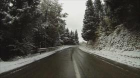 Irán - 1. Mazandaran, cultura y arquitectura 2. Bosque de Alimastan 3. El arte de Minakari