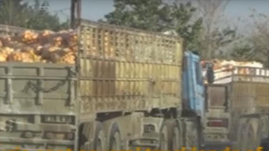 Siria envía camiones llenos de fruta a Alepo