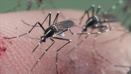 Se cuadruplican casos de microcefalia en Colombia en 2016