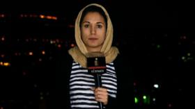 Propuestas para atajar la lacra del terrorismo en Egipto