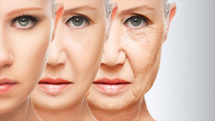 Los científicos españoles han logrado revertir el envejecimiento.