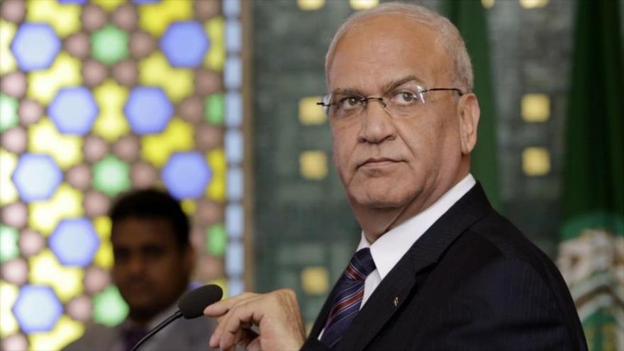 El secretario general de la Organización para la Liberación de Palestina (OLP), Saeb Erekat, en las oficinas de la Liga Árabe en El Cairo (Egipto), 11 de agosto de 2014.