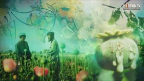 La Primera Línea - Parte 1 