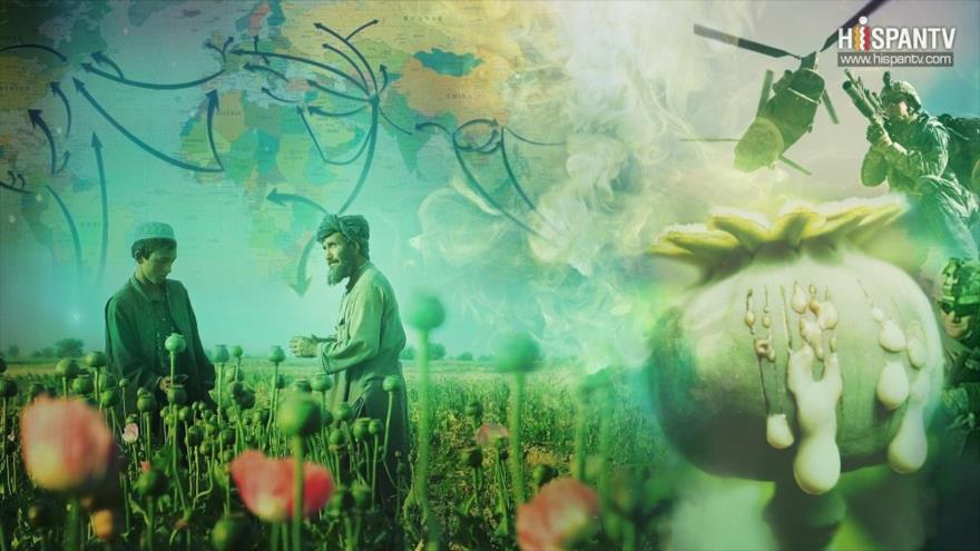 La Primera Línea - Parte 1 