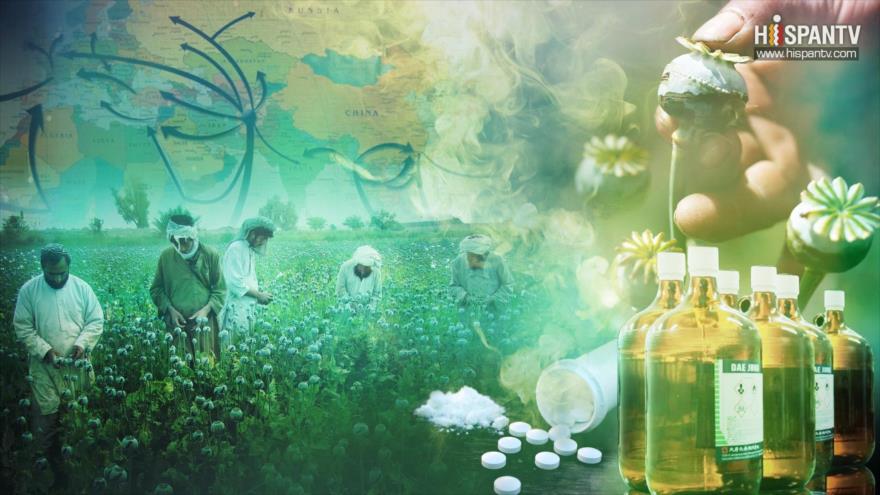 La Primera Línea - Parte 4