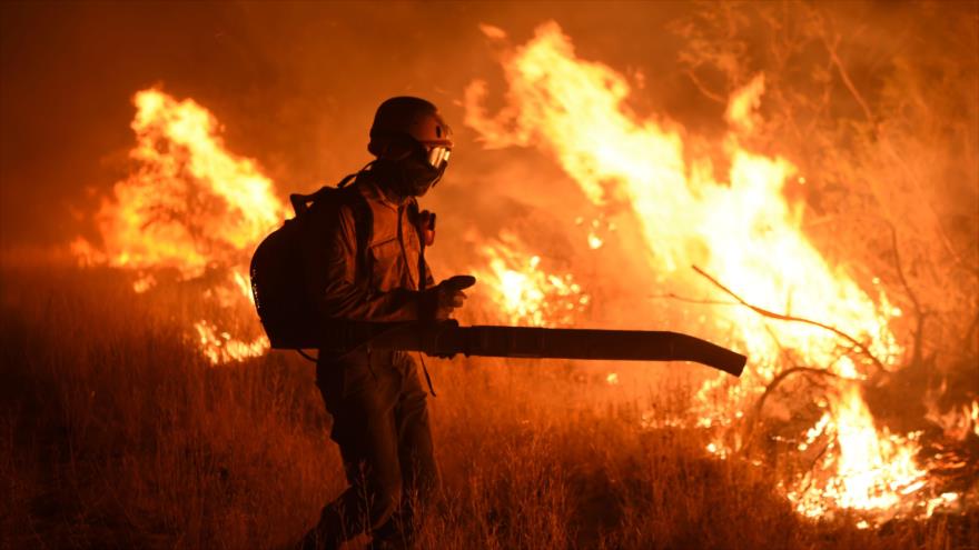 Incendios en Argentina han arrasado 600.000 hectáreas ...