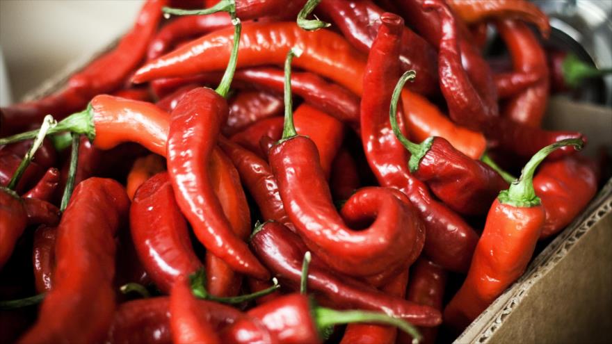 Capsaicina bajar de peso