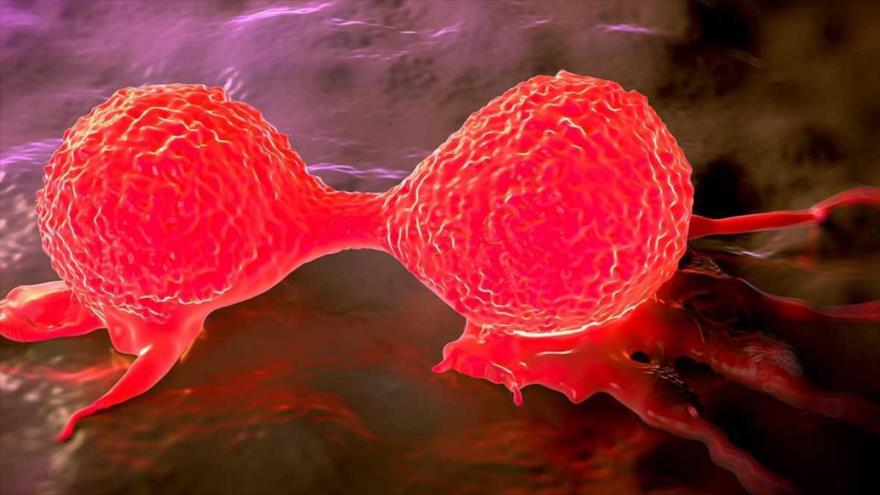 Científicos crean un nuevo tipo de ‘nanopartículas’ que pueden ser utilizadas para aniquilar tumores cancerosos.