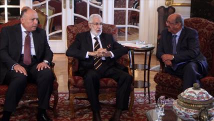 Egipto trabaja en pro de una solución política para Libia