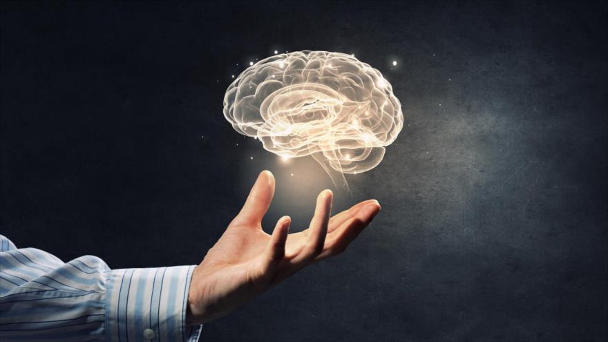 Científicos descubren seis técnicas para ser más inteligente.