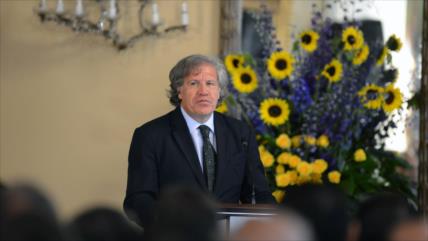 OEA advierte a Trump de sus políticas contra migrantes