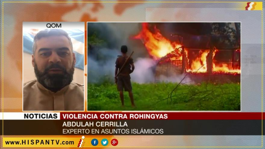 ‘Mundo islámico hace caso omiso de crímenes contra rohingyas’