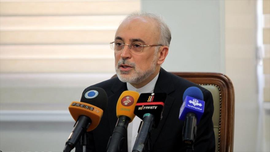 El jefe de la Organización de Energía Atómica de Irán (OEAI), Ali Akbar Salehi.