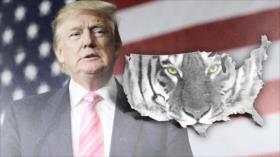 Advertencias a Trump: Irán le ve a EEUU como un tigre de papel