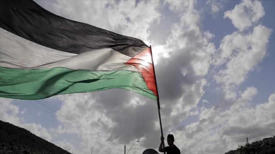 Un palestino enarbola su bandera.