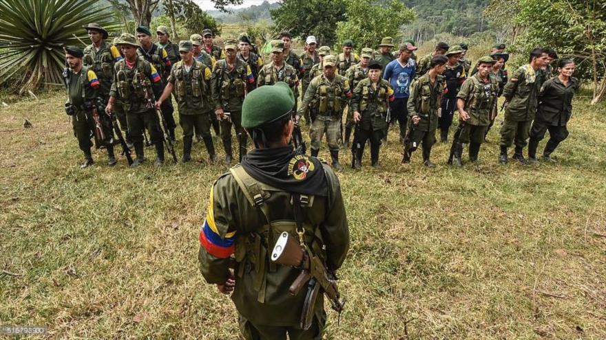 Integrantes de las Fuerzas Armadas Revolucionarias de Colombia (FARC) en el territorio colombiano.