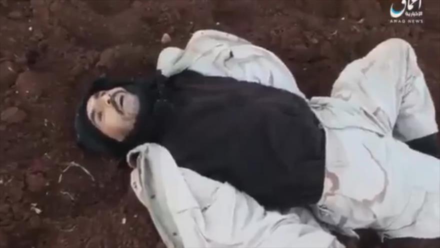 Vídeo: Daesh mata a 20 ‘rebeldes’ sirios en Daraa