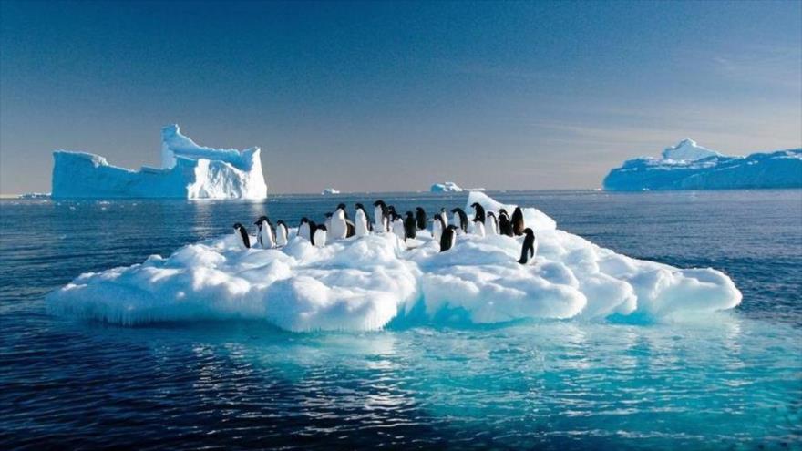 El aumento de la temperatura provoca el deshielo en el océano Antártico.