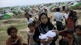 ‘ONU debe levantarse ante crueldades cometidas contra rohingyas’