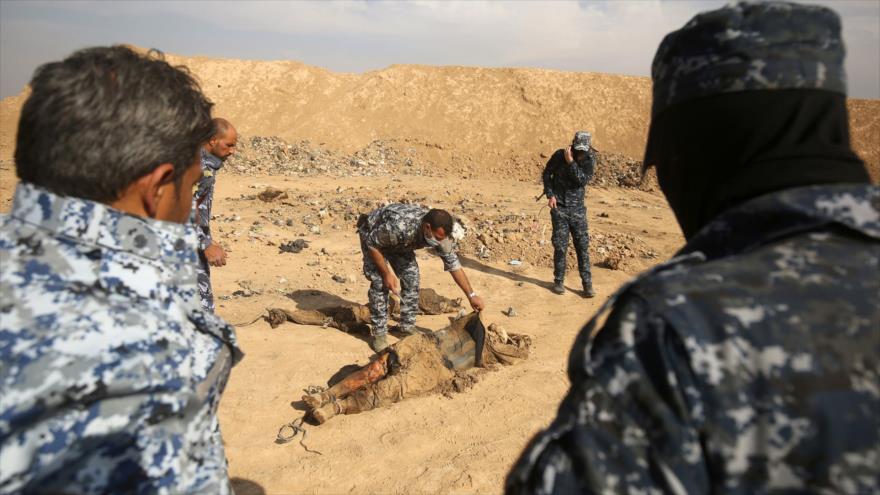 Cadáveres exhumados por las fuerzas iraquíes de una fosa común en la localidad de Hammam al-Alil, situada a 25 kilómetros de Mosul, norte del país, 7 de noviembre de 2016.