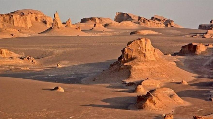 El desierto de Lut tiene un área de unos 52.000 km2 y se han hecho observaciones de vida animal diversa, incluidos insectos, reptiles y hasta zorros.
