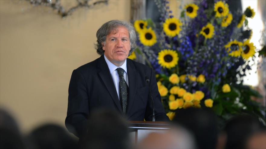 El secretario general de la OEA, Luis Almagro, pronuncia un discurso en la Casa Presidencial en Tegucigalpa, capital de Honduras, 17 de enero de 2017.