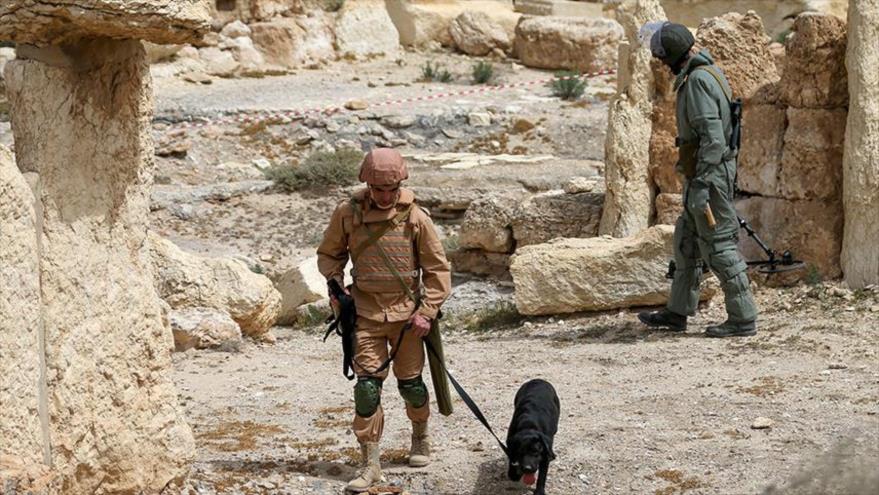 En seis horas, zapadores rusos desminan 120 explosivos en Palmira