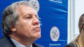 Almargo interpelado por activistas que lo tildan de traidor