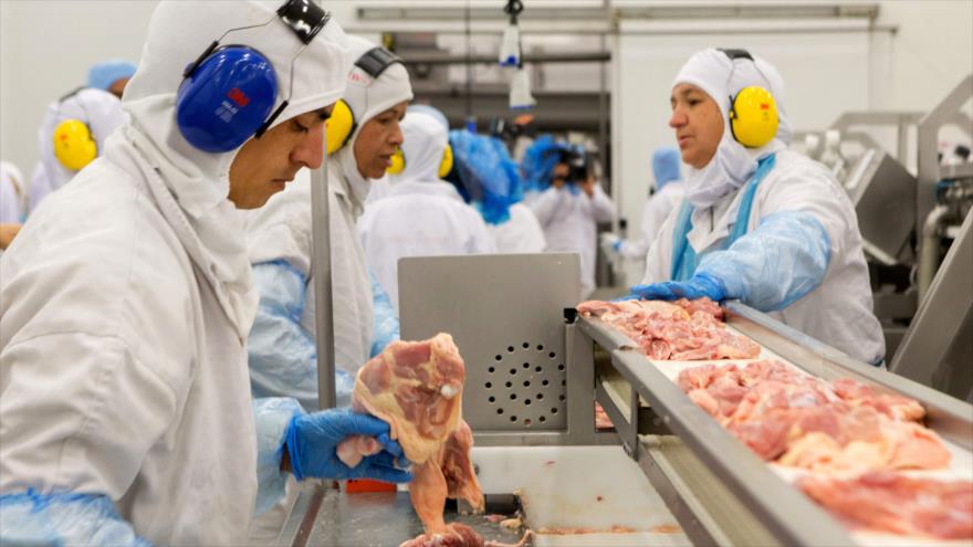 Trabajadores en la empresa de alimentación brasileña JBS, el mayor frigorífico de Latinoamérica, durante una inspección del ministro de Agricultura, Blairo Maggi, estado de Paraná, 21 de marzo de 2017.