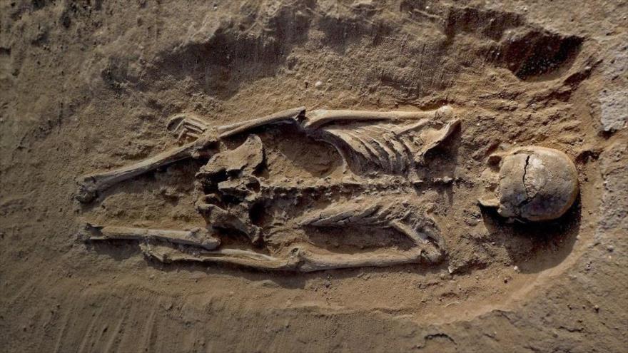 Hallan evidencias de festines caníbales en España hace 10.000 años.