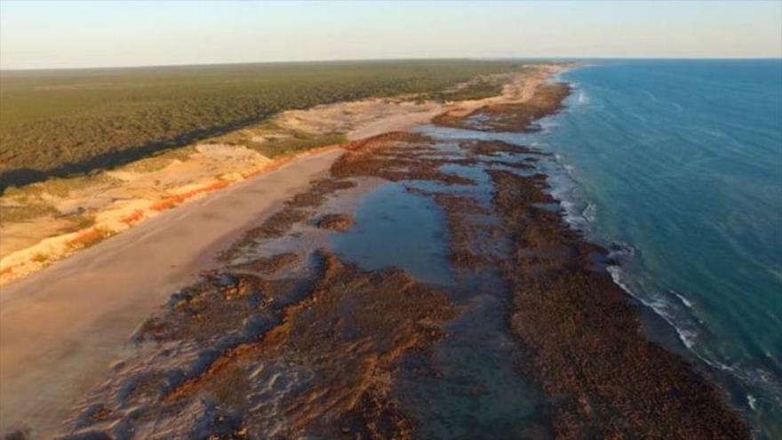 Hallan el parque jurásico más diverso del mundo en Australia