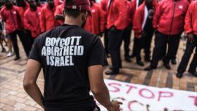 Lean por qué arremetieron contra informe sobre apartheid israelí