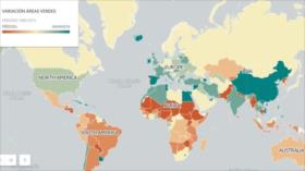 ¿Sabes qué países han ganado y perdido más árboles?