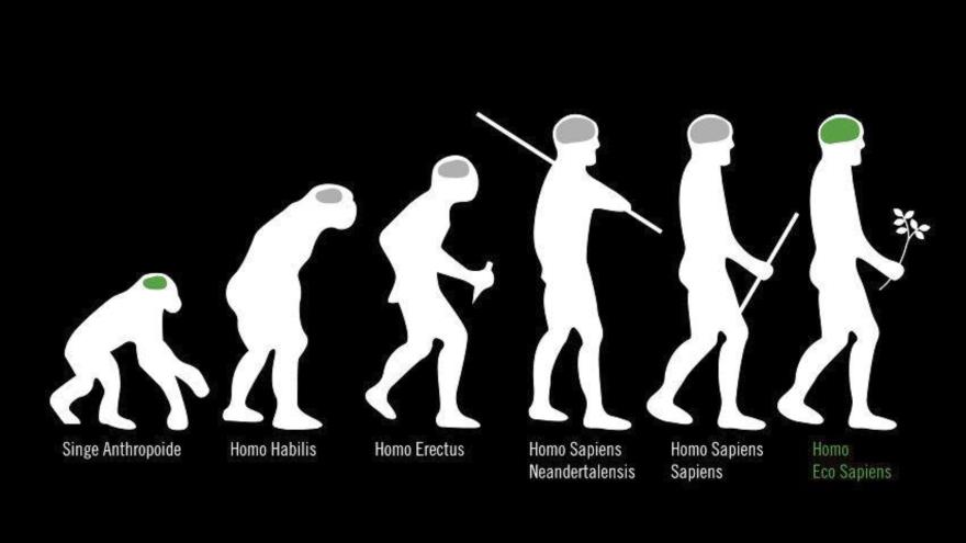 Mensch ist mensch. Эволюция человека комикс. Хомо сапиенс Эволюция. Теория Дарвина о эволюции человека. Эволюция Дарвин хомо.