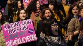 Erdogan defiende su referendo y la oposición exige la anulación