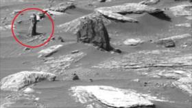 ¿Prueba de vida en Marte? Hallan un árbol en planeta rojo