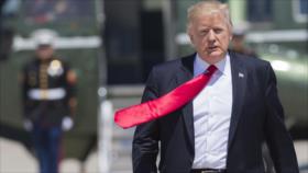 ‘Daesh está a punto de perder y solamente Trump le podrá salvar’