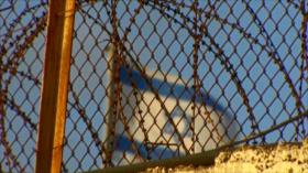 Entra en su 14º día la huelga de hambre de presos palestinos