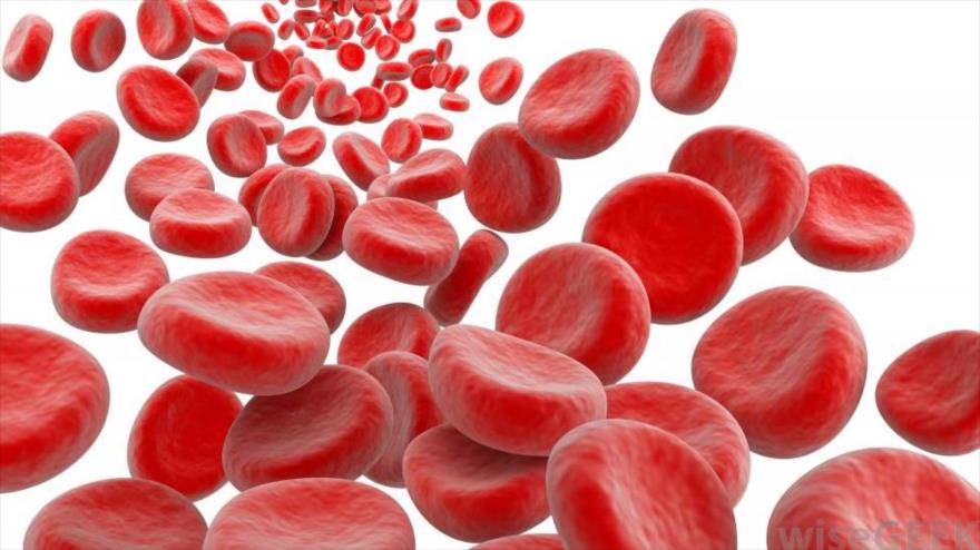 glucose blood youtube test consiguen células precursoras Científicos crear sangre de