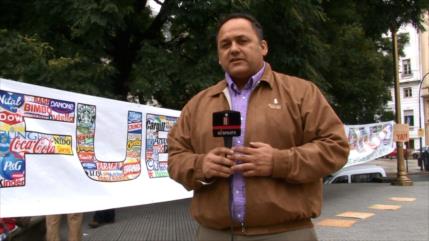 Alertan sobre fusión Bayer Monsanto en Argentina