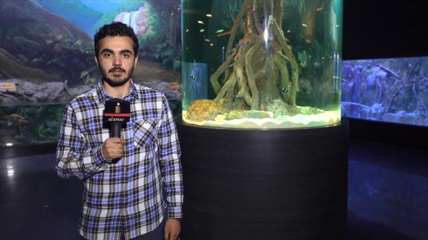 La ciudad de Isfahán, un lugar seguro para atraer inversiones
