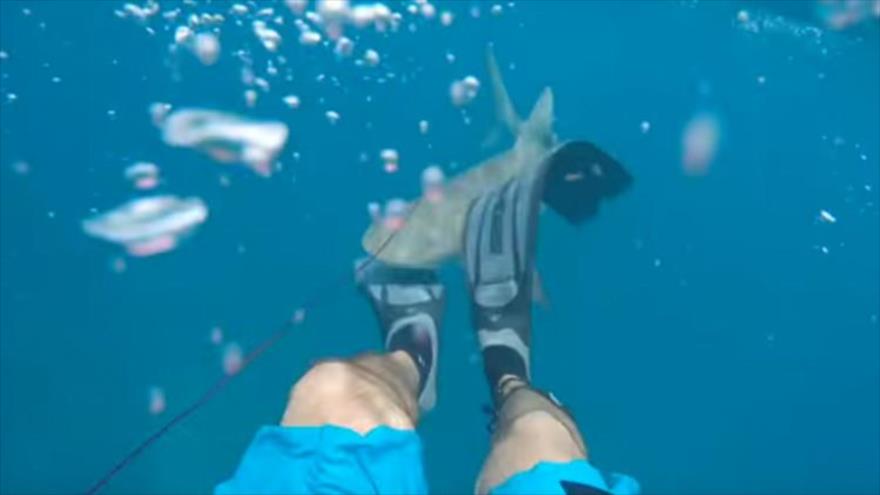 VÍDEO: un estadounidense graba cómo lo ataca un tiburón | HISPANTV
