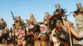 ¿Se expandirá la amenaza de Daesh en América Latina?
