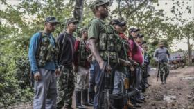 Nuevo empleo: Guerrilleros de FARC serán entrenados como escoltas