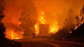 Incendio forestal deja al menos 62 muertos en Portugal