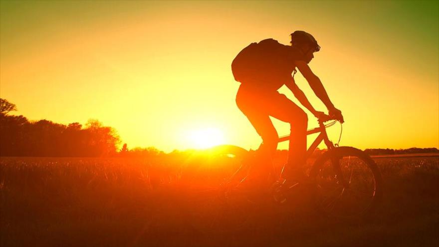 Un tercio de la humanidad está expuesta a olas de calor letales.