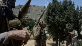 Pentágono admite que Afganistán se convierte en paraíso terrorista